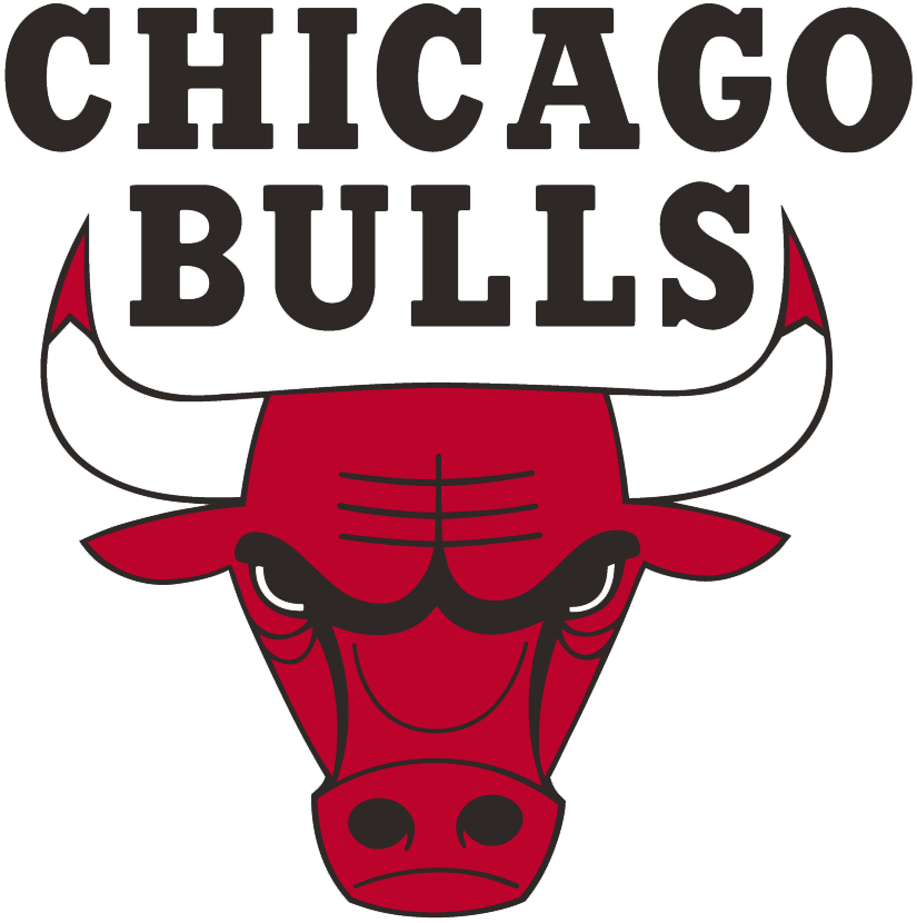 Chicago Bulls T shirt DIY iron-ons